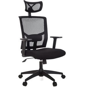 Cadeira Presidente Ergonômica - Anima